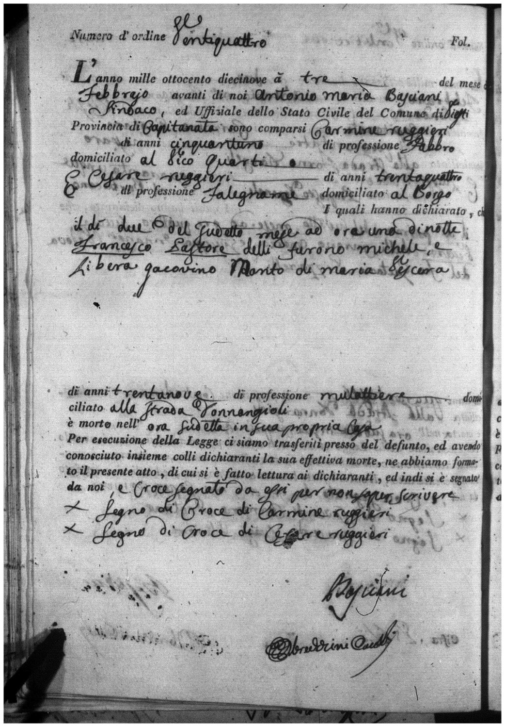 Document